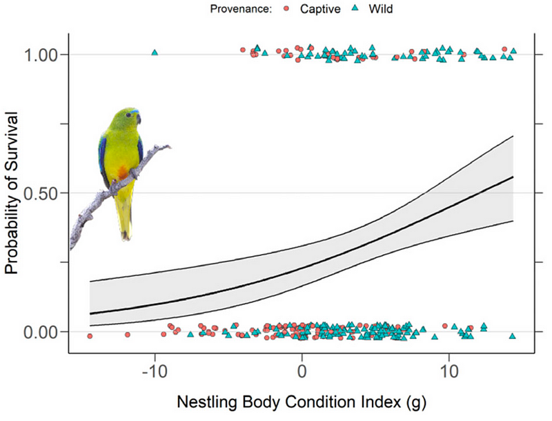 Survival model estimates for nestling condition