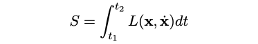 Action integral expression