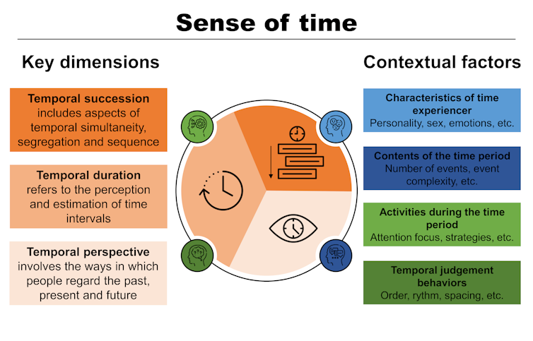 Schematic illustration of human time perception dynamics