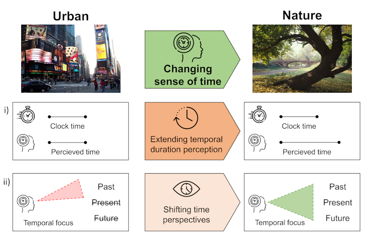 Diagram illustrating the impact of nature on time perception