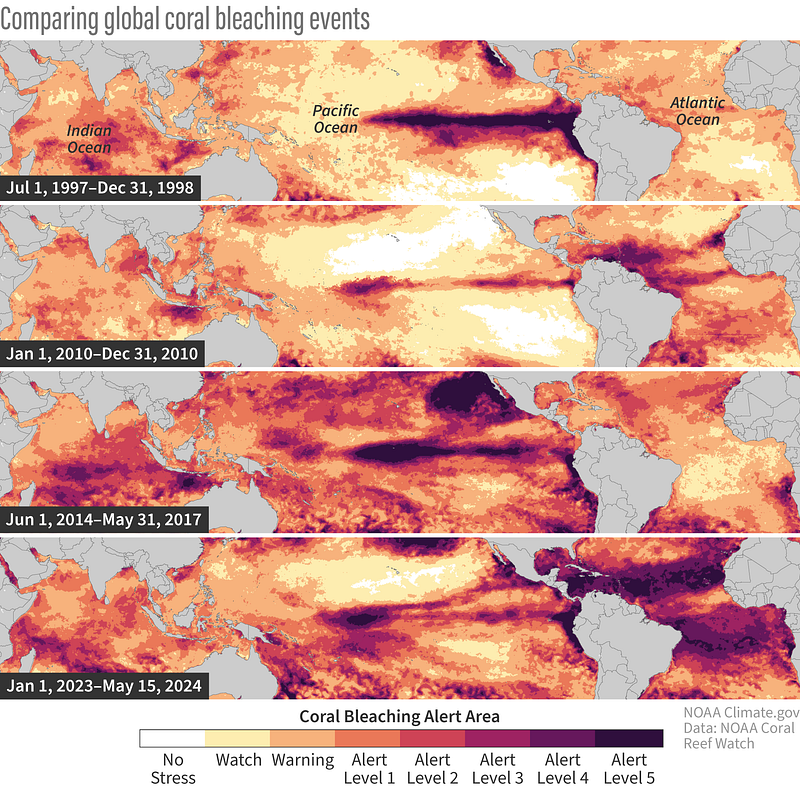 NOAA Coral Bleaching Alert Levels