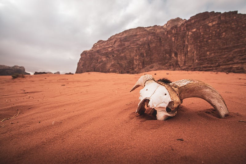 Ancient stone carvings of desert kites