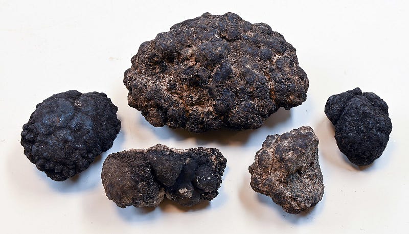 Polymetallic nodules from the ocean floor