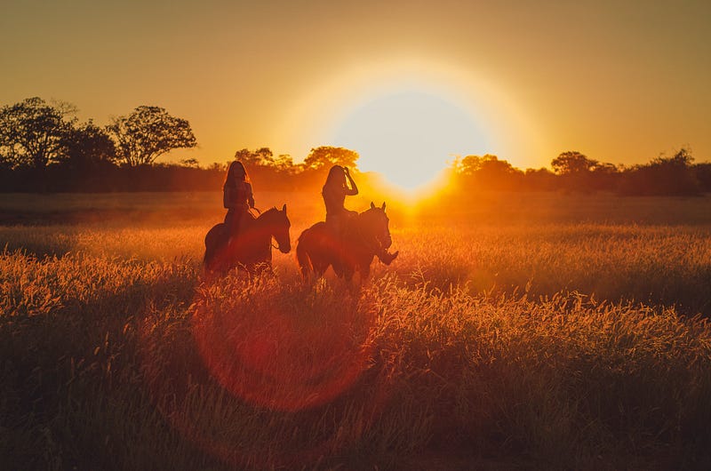 Ancient horse bones discovered in Patagonia